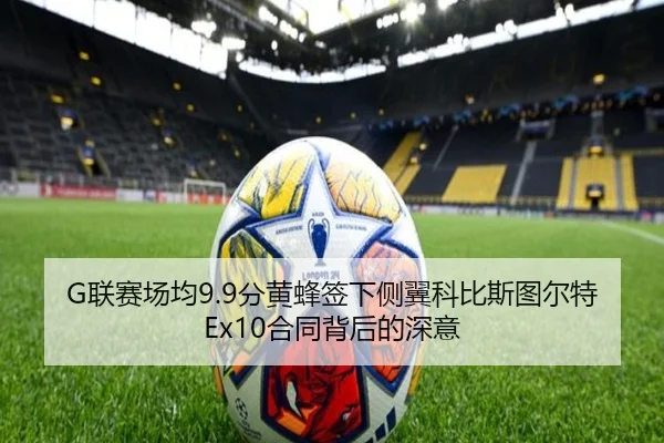 G联赛场均9.9分黄蜂签下侧翼科比斯图尔特Ex10合同背后的深意